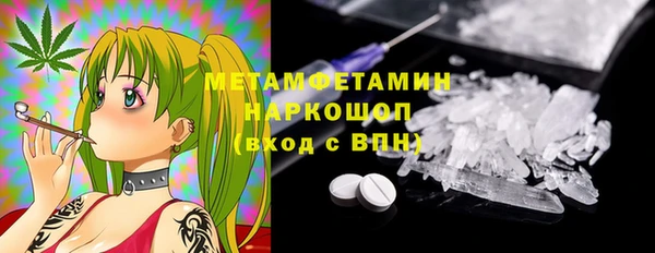 стаф Аркадак