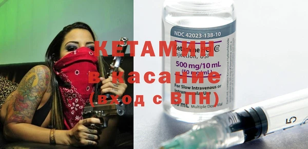 стаф Аркадак