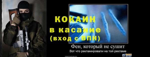 стаф Аркадак
