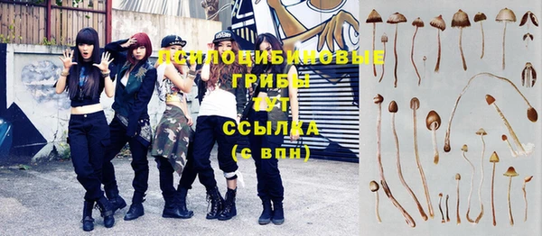 прущая мука Армянск