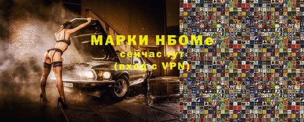 стаф Аркадак