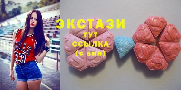 стаф Аркадак