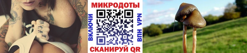 KRAKEN онион  Волгоград  Псилоцибиновые грибы Magic Shrooms  хочу наркоту 