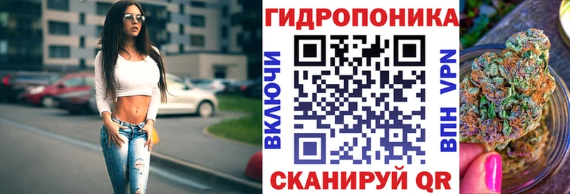 дарнет шоп  Волгоград  Бошки Шишки THC 21% 